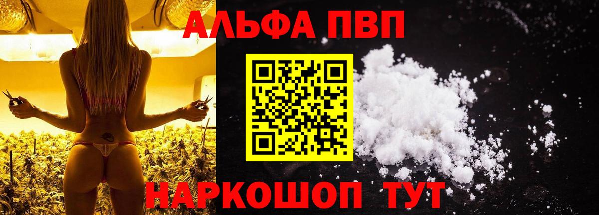 Альфа ПВП СК КРИС Курганинск
