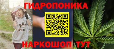 мяу мяу мука Бузулук