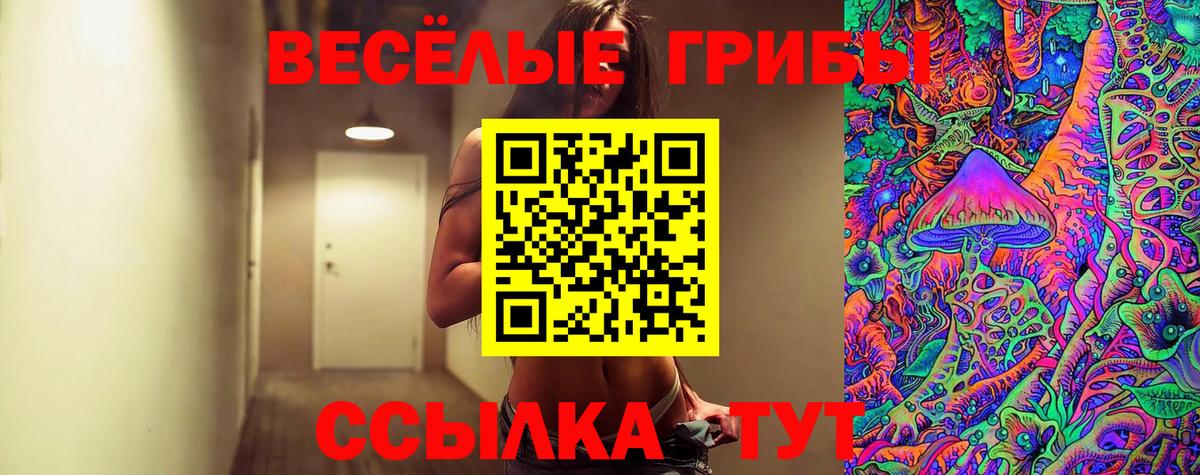 Галлюциногенные грибы прущие грибы Курганинск
