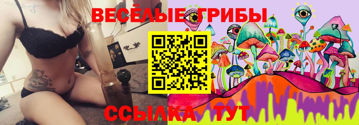 Псилоцибиновые грибы Cubensis  Галлюциногенные грибы мицелий  Курганинск  Вход с VPN 